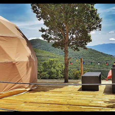 Hotel Sottu E Stelle Albitreccia Esterno foto