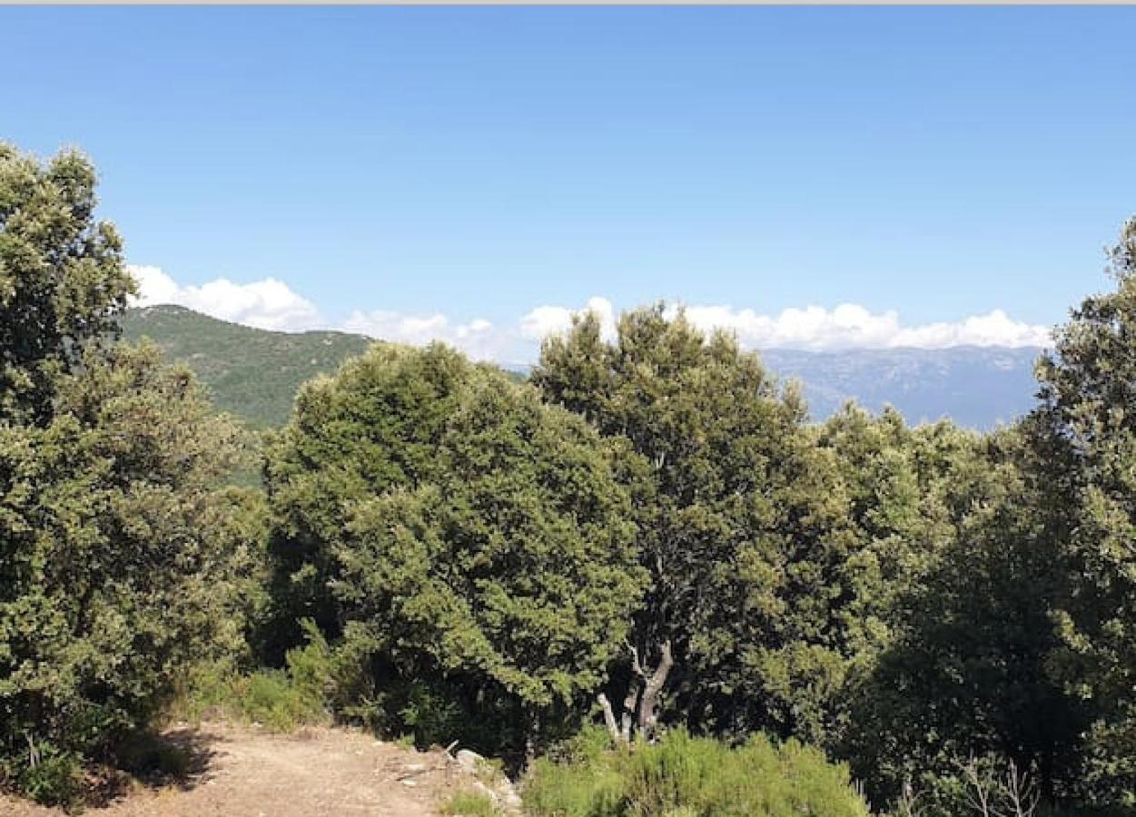 Hotel Sottu E Stelle Albitreccia Esterno foto