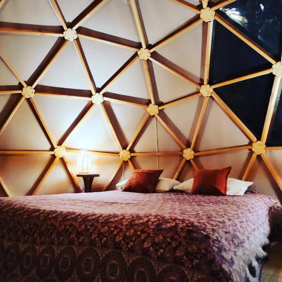 Hotel Sottu E Stelle Albitreccia Camera foto